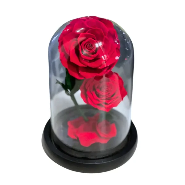 Glass Dome