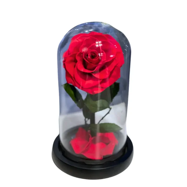 Rosa Encantada