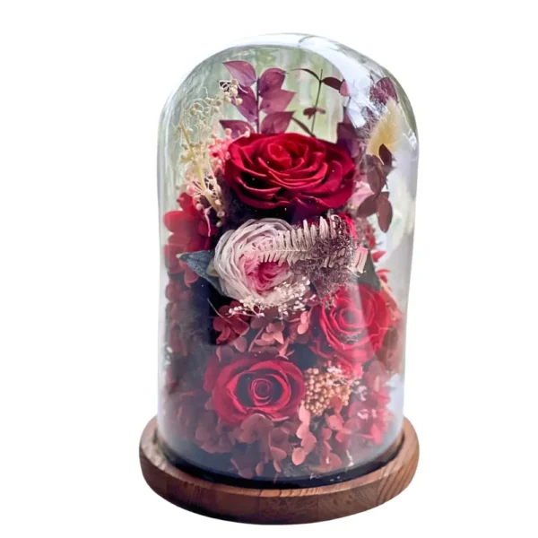 Pétale d’Étoiles